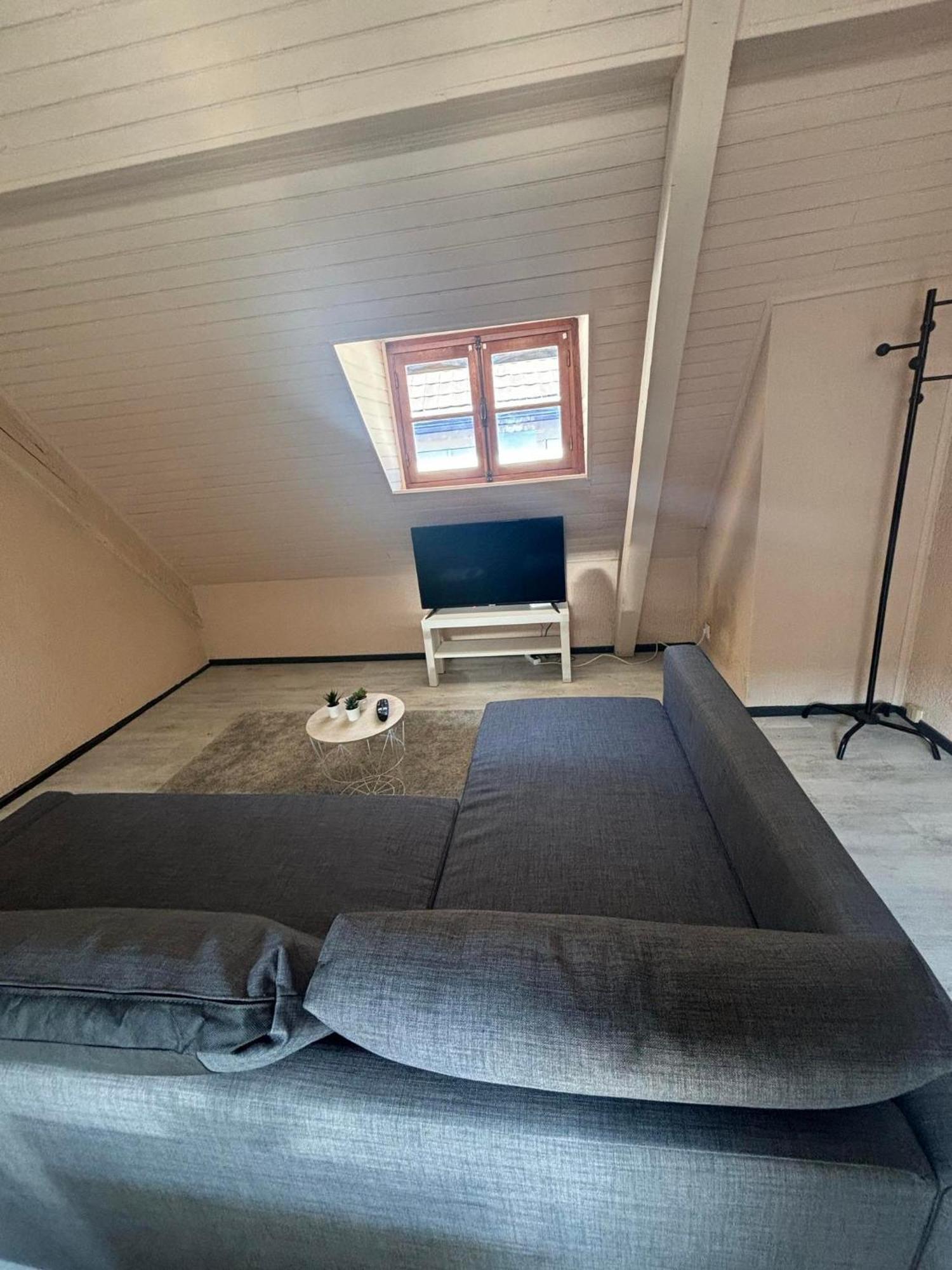 Le Merveilleux Apartment Soultz-Haut-Rhin Bagian luar foto